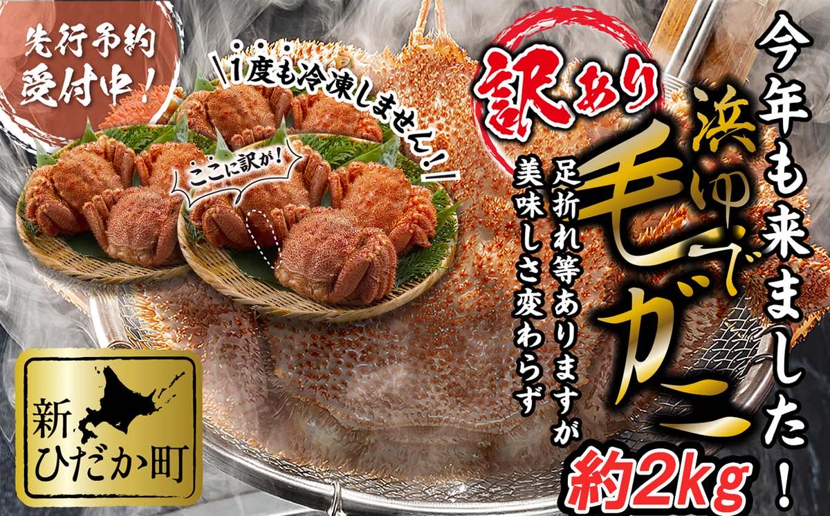 訳あり 北海道産 浜ゆで 毛ガニ 約 2kg ＜2026年2月中旬から順次発送＞ 毛蟹 毛がに かに味噌 カニ味噌 新鮮 旬 ボイル 浜茹で 海鮮 海産物 わけあり 訳アリ 