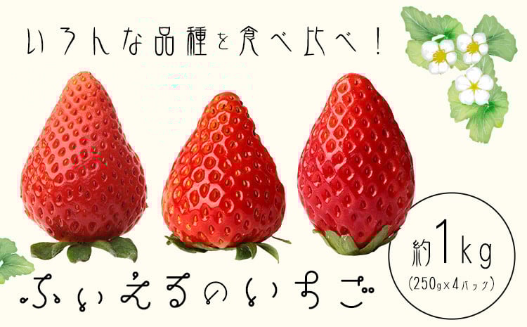 
            いちご 章姫 晴苺 紅ほっぺ 約1kg(約250g×4P) ふぃえる《1月上旬～4月中旬頃出荷予定》岡山県 矢掛町産 苺 果物 フルーツ ふぃえる
          
