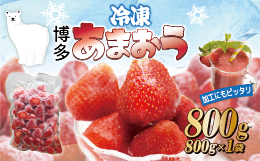 福岡県産冷凍あまおう800g(800g×1袋)[M1001]
