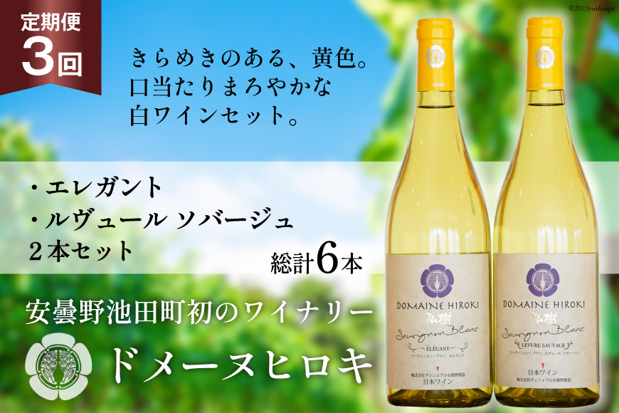 白ワイン セット エレガント & ルヴュールソバージュ 各750ml 計2本 3回 定期便 総計6本 [ヴィニョブル安曇野 長野県 池田町 48110360] ワイン 白 白ワインセット ワインセット 飲み比べ