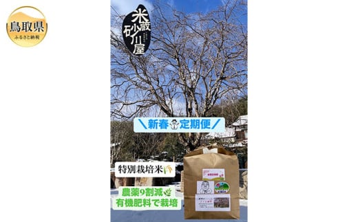 C25-012 【定期便3回】新春定期便【数量限定】