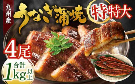 九州産 うなぎ蒲焼 特特大4尾 (1尾あたり250～266g) 合計：1kg以上【2026年5月発送】