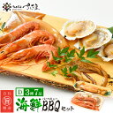 【ふるさと納税】厳選！海鮮 BBQ ≪D≫セット（3種7品、2〜3人用）するめいか漁師漬け えび 帆立 バーベキュー アウトドア 網焼き 冷凍便 [e04-a068]