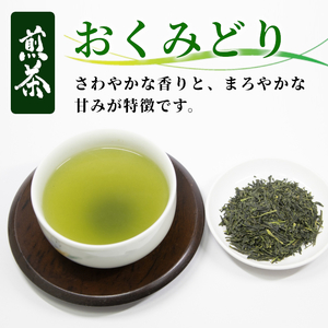 農薬不使用！煎茶 おくみどり 100g 常磐園 美濃白川茶 日本茶 緑茶 茶葉 