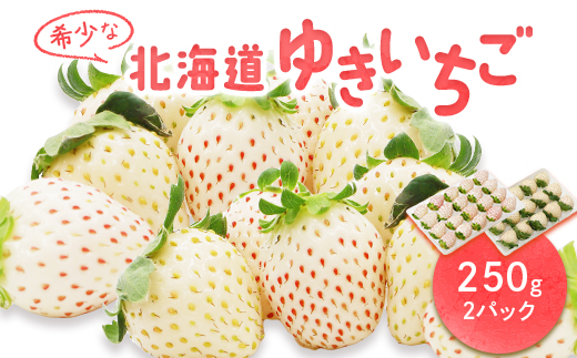 【北海道産】ゆきいちご（白いちご） 2Pセット 250g×2 計500g【59001】