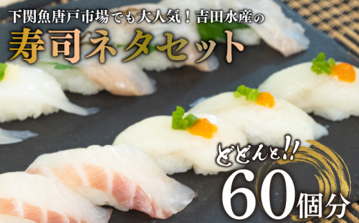 寿司 ネタ セット 60貫 (60個分) 冷凍 真空パック ふぐ 鯛 ヒラメ 各20枚入 540g ( 刺身 海鮮丼 漬け丼 魚介 高級魚 熟成 まふぐ フグ 真鯛 平目 ひらめ たい タイ 海鮮 詰め合わせ 下関 唐戸市場 直送 寿司パーティ お楽しみ 父の日) 山口県 下関市