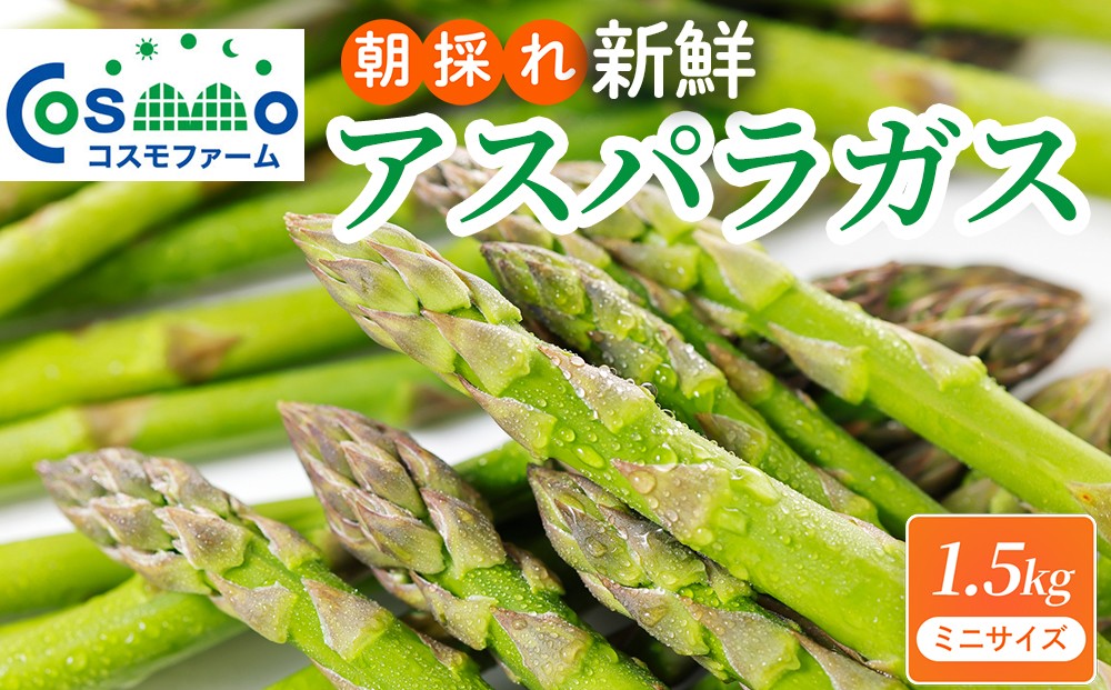 
                  朝採り新鮮アスパラガス 1.5kg【ミニサイズ】 | 野菜 アスパラガス グリーンアスパラ 旬 とれたて  春野菜 春 朝採り 朝採れ とれたて 新鮮 みずみずしい サラダ 甘い お取り寄せ 産地直送 冷蔵 岐阜県 瑞穂市
                