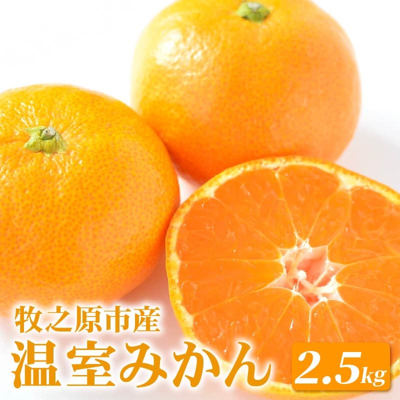 
            みかん 約 2.5kg 温室 みかん 柑橘 ミカン おいしい 蜜柑 甘い ジューシー ビタミン 大石農園 静岡県 牧之原市
          