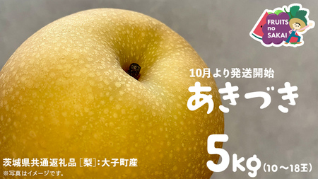 あきづき 梨 5kg （10～18玉）【2025年10月より発送開始】（茨城県共通返礼品 [梨]：大子町産） なし 旬 お取り寄せ フルーツ 甘い ジューシー 和梨 時期
