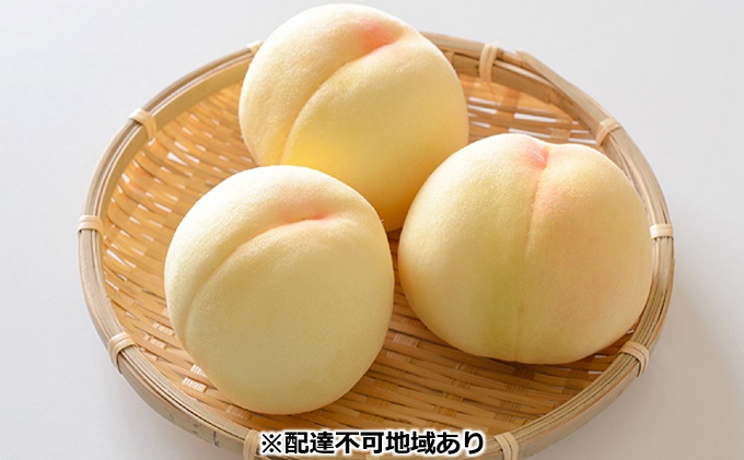 【2025年先行予約】 桃 岡山県産 ご家庭用 もも 清水 白桃 約2kg（6～8玉） 田邉農園《2025年7月中旬～8月上旬頃出荷》  果物 岡山 里庄町 モモ