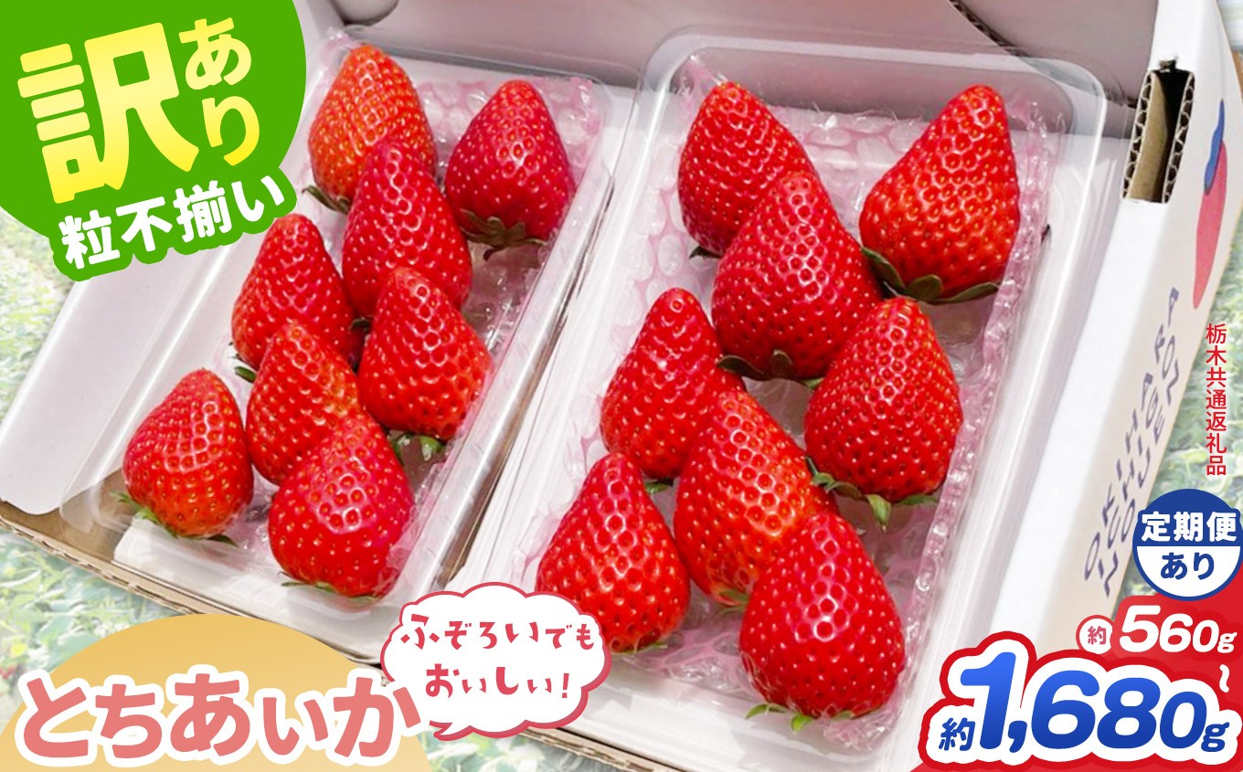 
                  【先行予約】【栃木県共通返礼品】訳あり とちあいか 約 560g 1120g 1680g ｜いちご イチゴ 苺 訳あり 不揃い 粒 ハート 栃木県 那珂川町 送料無料
                