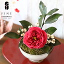 【ふるさと納税】プリザーブドフラワー 花椿 ＜Fine＞ ｜花 ギフト プレゼント アレンジ おしゃれ 母の日 誕生日 結婚祝い 退職祝い お祝い