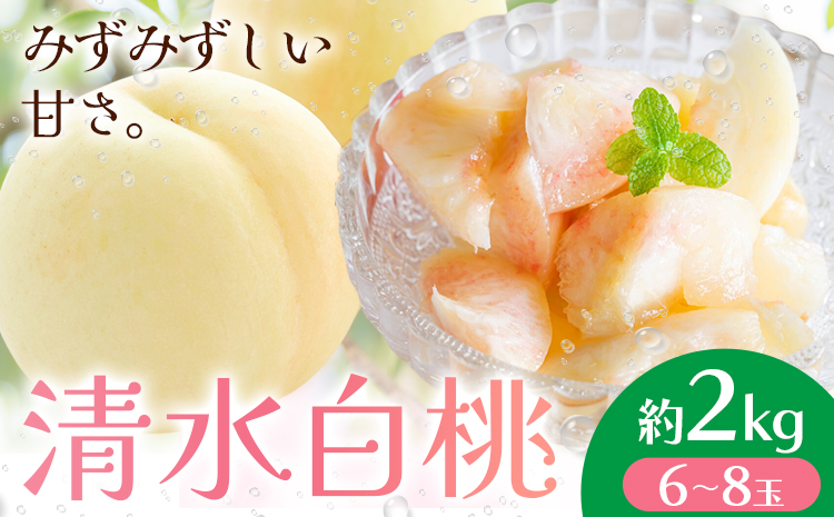 【先行予約】清水白桃  約2kg もも モモ 岡山 国産 フルーツ 果物 桃茂實苑《7月中旬-8月上旬頃出荷》岡山県 浅口市 フルーツ モモ 果物 青果 旬 白桃 国産 岡山県産【配送不可地域あり】