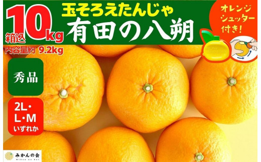 
八朔 (はっさく) 秀品 玉ぞろい 箱込 10kg(内容量約 9.2kg) 2L L Mサイズのいずれか 和歌山県産 産地直送【おまけ付き】【みかんの会】
