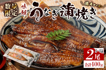 ［数量限定］満足サイズ!! 味鰻 うなぎ蒲焼き 2尾セット 合計約400g（無頭）化粧箱入 熨斗対応可【C421-2311】ウナギ 蒲焼 長焼 ひつまぶし ギフト プレゼント 国産 九州 宮崎