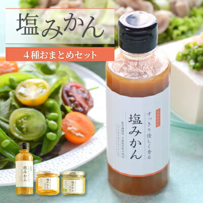 【ふるさと納税】みかんがふわっと香るワンランク上のお料理に!愛媛の新しい調味料 塩みかん4種セット【C25-65】_ 調味料 塩みかん みかん 塩 しお ドレッシング サラダ カルパッチョ 魚料理 肉料理 味付け 愛媛 4種 セット 送料無料 【1228227】