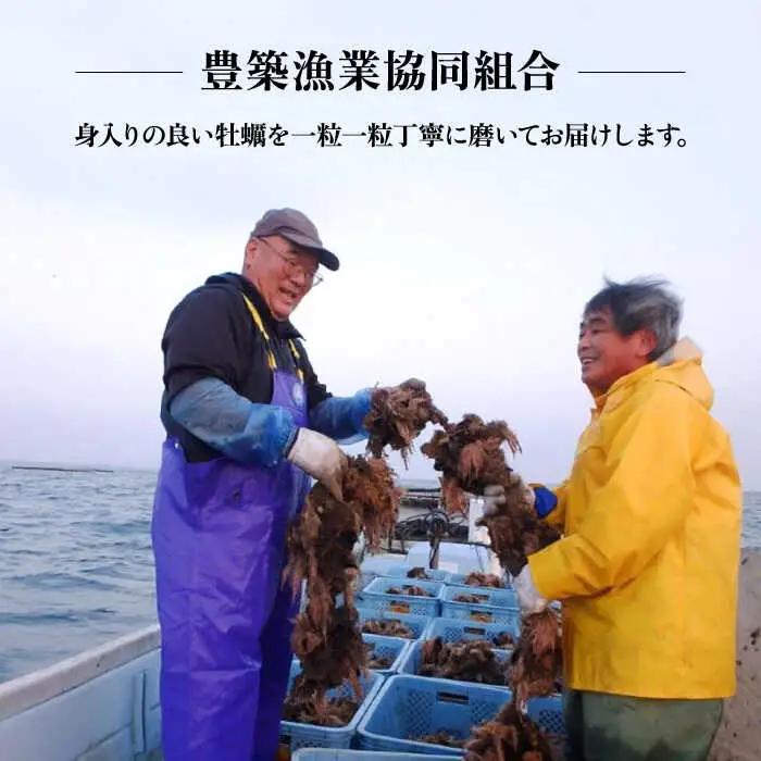 【先行予約】豊前海一粒牡蠣 3kg VAG007 牡蠣 かき
