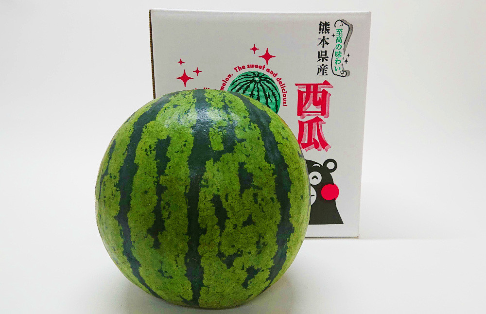 熊本スイカ 1玉 約4.5kg前後