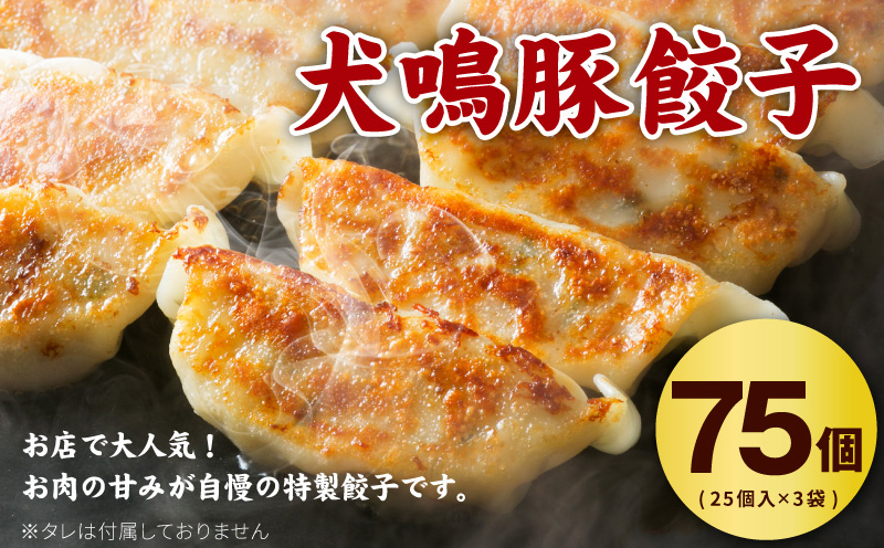 【期間限定】犬鳴豚餃子 75個 ハンバーグ 2個 セット【国産 豚肉 泉佐野ブランド豚 犬鳴ポーク 焼くだけ 人気 総菜 冷凍】 G5372