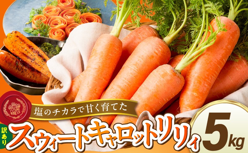 
                  〈予約受付〉メディア出演多数！【期間限定】（訳あり）鈴盛農園の甘～いにんじん 『スウィートキャロットリリィ』 5kg 人参 甘い  『満天☆青空レストラン』 『坂上＆指原のつぶれない店』 『ごはんジャパン』 ご家庭用 ジュース サラダ スムージー ジューシー 安心 H022-019
                