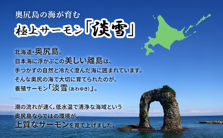 奥尻養殖 サーモン 「淡雪」のフィレ200g×5パック OKUY008 | サーモン