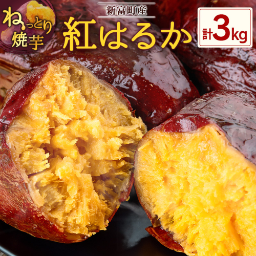 特製焼き芋！熟成蜜芋「紅はるか」計3kg 国産 新富町産 さつまいも ねっとり焼芋 イモ【B641】