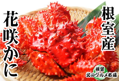 【北海道根室産】花咲かに300g～450g×8尾 C-76038