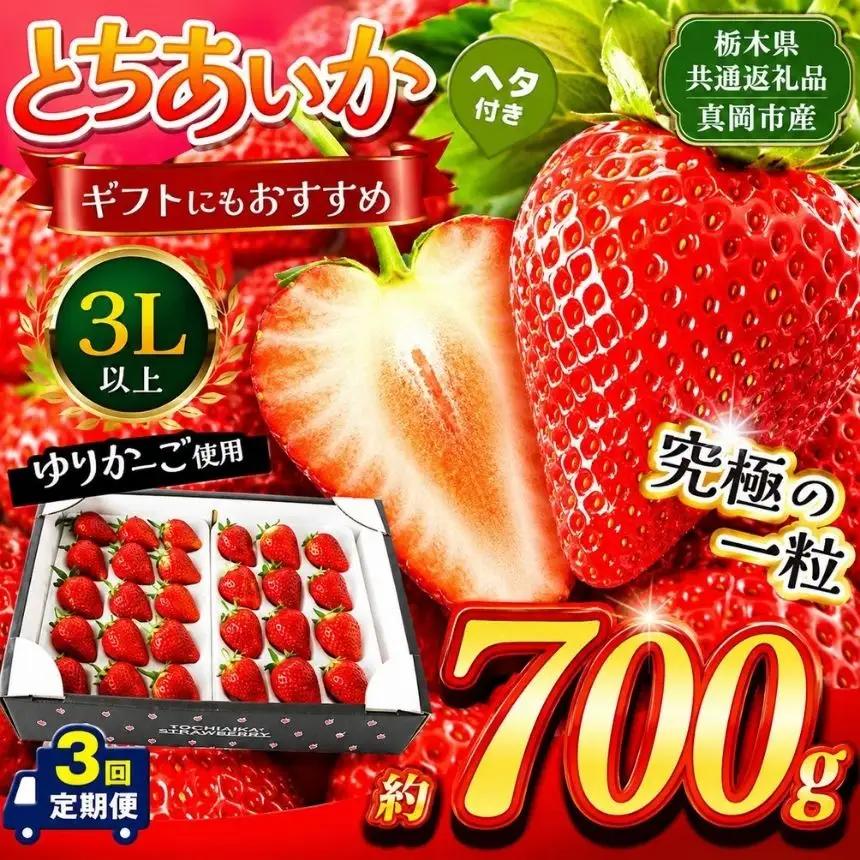 【先行予約】【栃木県共通返礼品】【定期3回】とちあいか 3L以上ホール詰め 約2100g | いちご とちあいか 香貴 朝採れ 大粒 新鮮 甘い  数量 限定 美味しい 果物 共通返礼品 フルーツ デザート 栃木県 那珂川町 送料無料