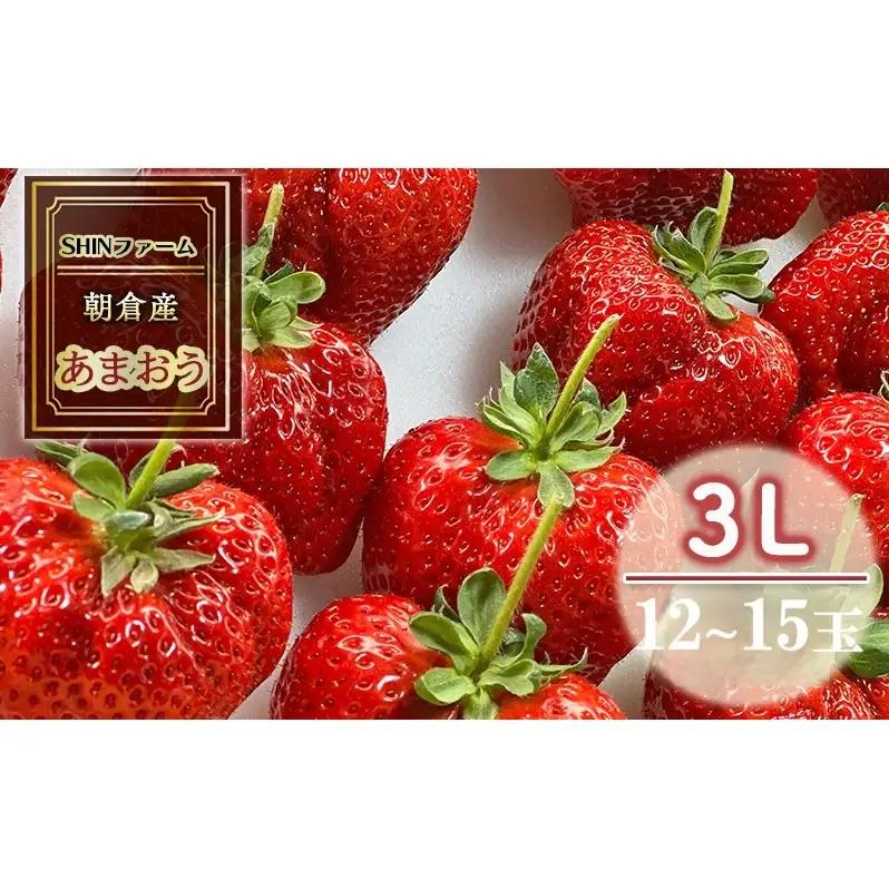 いちご 朝倉市産 あまおう 3L 12～15玉 いちご