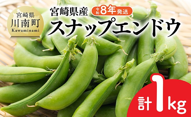
            【令和8年発送】宮崎県産　スナップエンドウ1.0kg 【 野菜 宮崎県産 川南町産 野菜 産地直送 新鮮 数量限定 】
          