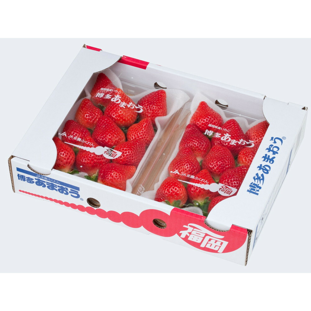 ＜2027年3月～4月発送＞博多あまおう 約250g×4
