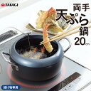 【ふるさと納税】IH温度計付両手天ぷら鍋 20cm キッチン用品 調理器具 ステンレス製 揚げ物専用 オール熱源対応 IH対応 ガス火対応【011S190】