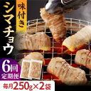 【ふるさと納税】【全6回定期便】【塩だれ】 九州産和牛 ホルモン シマチョウ 500g（250g×2袋） 長与町/岩永ホルモン [EAX102] 国産肉 ホルモン シマチョウ 小分け 味付き 冷凍 焼肉 焼き肉 和牛