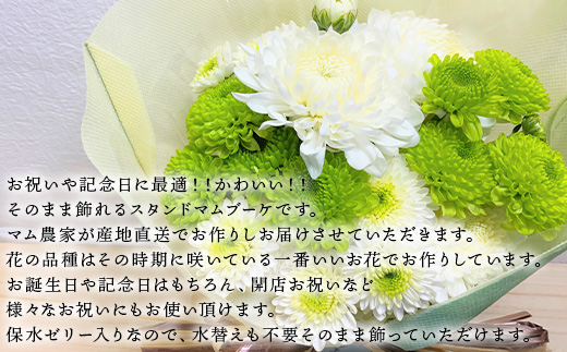 贈り物に そのまま飾れるスタンドマムブーケ cool green(グリーン系) 水替え不要 生花 お花 お祝 記念日 プレゼント「2023年 令和5年」