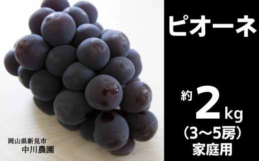 
                  中川農園 ピオーネ 約2kg 3～5房 ご家庭用【先行予約 2026年9月から順次発送】
                