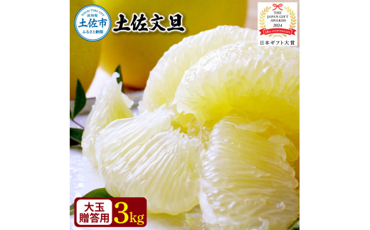 【日本ギフト大賞2024受賞】園主こだわり土佐文旦【化粧箱贈答用：大玉3kg】（3L～2L） 2026年1月下旬より順次発送 ぶんたん ブンタン 柑橘 フルーツ 果物 贈答 ギフト 土佐 高知 やの一果彩