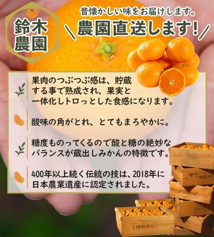 訳あり みかん 蔵出しみかん 5kg 鈴木農園