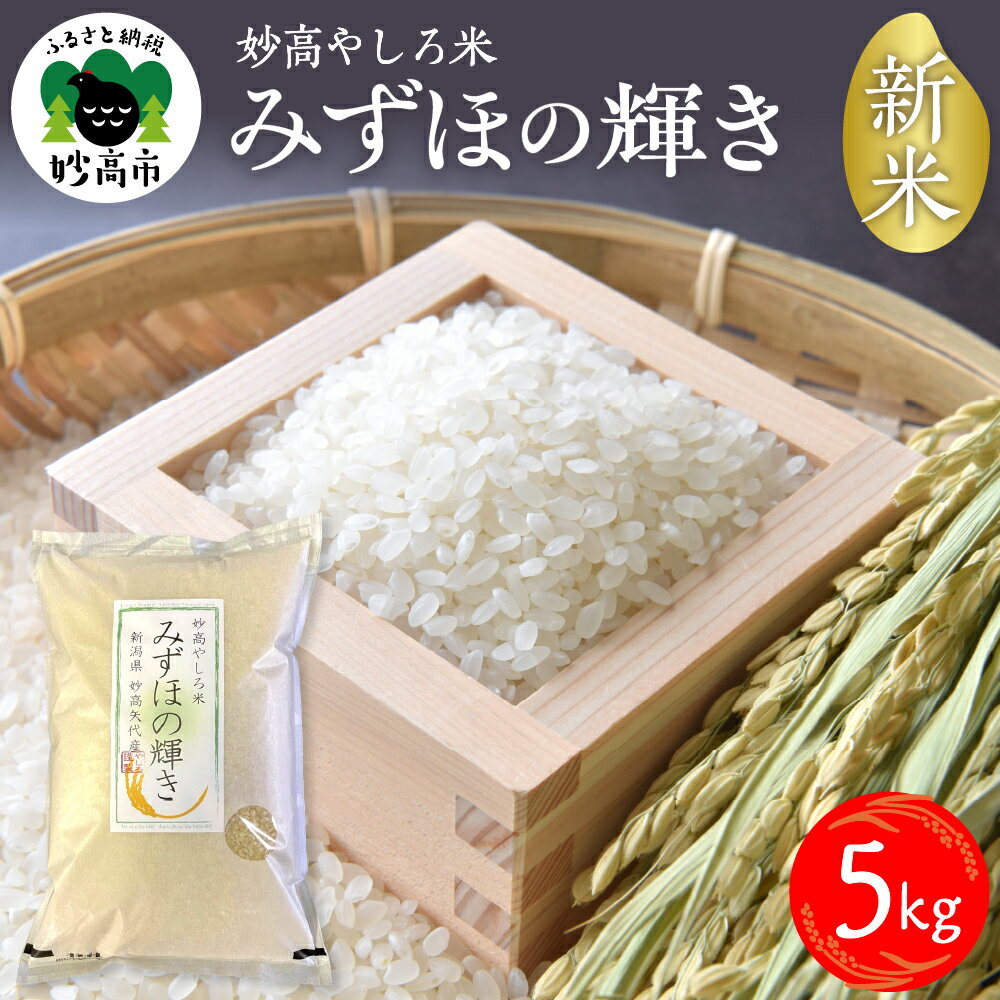 【ふるさと納税】令和7年産 新潟県 妙高やしろ米 みずほの輝き 5kg 【11月中旬より発送】 新米 お米 米 コメ 精米 新潟 妙高市 米どころ こめ ご飯 ごはん ライス 弁当