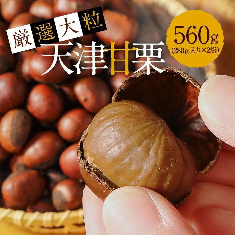 ＜予約受付＞この道50年の職人が焼く、やさしい甘みたっぷりの「厳選大粒」天津甘栗560g！ 焼きたて 栗 くり 栗爪 殻付き お菓子 おつまみ 人気 高リピート 小分け 栗ご飯 栗きんとん 甘露煮 H045-103