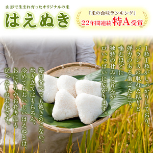 【定期便3回】山形産 はえぬき 5kg×3ヶ月(計15kg) FY25-483