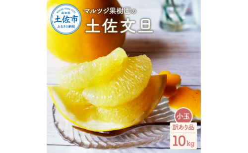 【先行予約】マルツジ果樹園の土佐文旦 訳あり品(小玉) 約10キロ 10kg M～Lサイズ 24～32個入り 〈2027年2月1日から3月31日頃発送〉/ ぶんたん ブンタン フルーツ 柑橘 みかん 果物 くだもの 柑橘類 デザート ご自宅用 ご家庭用 国産