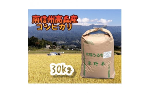 2025年産【南信州高森産】コシヒカリ精米30kg 長野県 信州 南信州 高森町 米 コメ 農事組合法人フクロウ