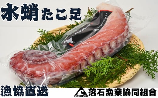 
E-20002 【北海道根室産】ボイル水たこ足7本(計7.5kg)
