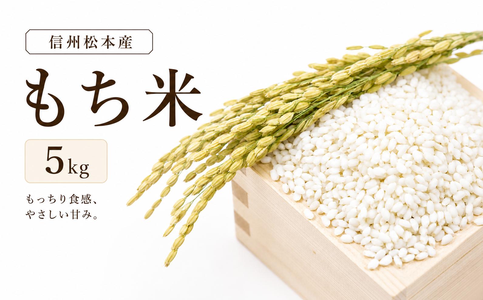 
                  【先行受付：9月中旬発送】信州松本産　もち米 5kg │ 信州 お米 米 もち米 雪解け水 農家 今摺り 2段低温乾燥 歴史 農家 甘味 旨味 松本 長野県
                