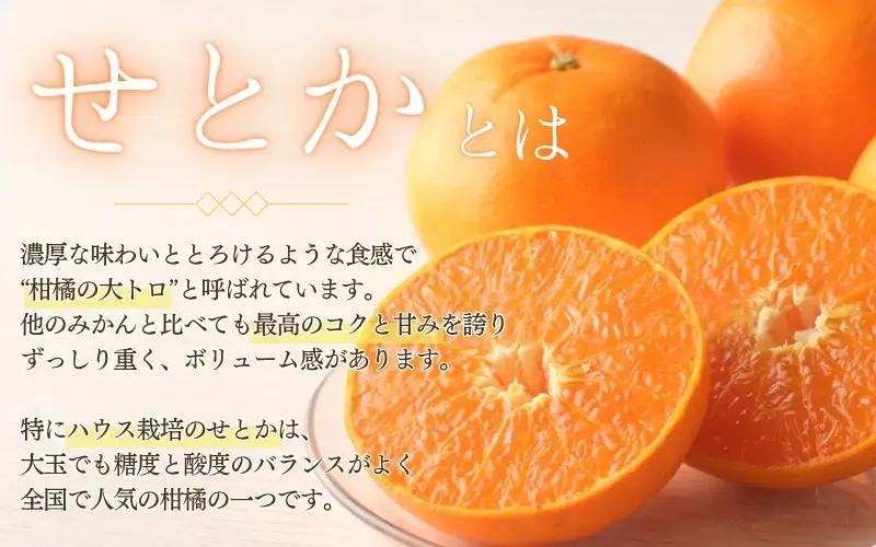 せとか 訳あり 阪口農園のハウスせとか 5kg【msa013】