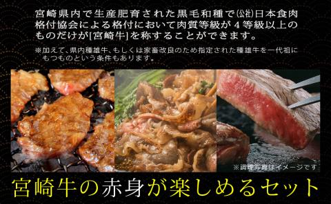 【宮崎牛】 赤身 セット ステーキ 200g 焼肉 150g スライス 200g サイコロ 150g セット 合計700g [SHINGAKI 宮崎県 美郷町 31ag0072] 牛肉 モモ もも す