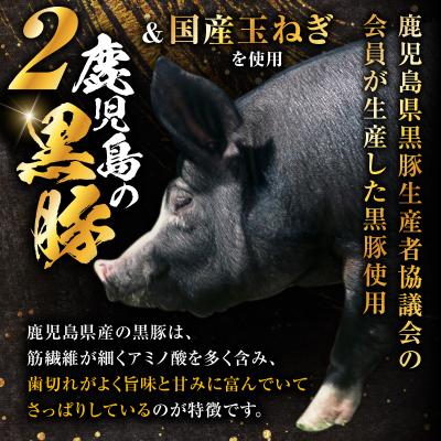 ふるさと納税 鹿児島市 【14営業日以内に発送】鹿児島県産黒豚重の素 1.5kg(150g×10P)　K025-018_03 |  | 02