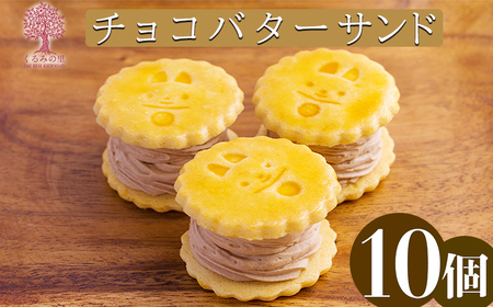 『生チョコバターサンド 10個入り』 サクサクビスケット生地に生チョコレートを練りこんだバタークリームをサンド TF0644-P00010