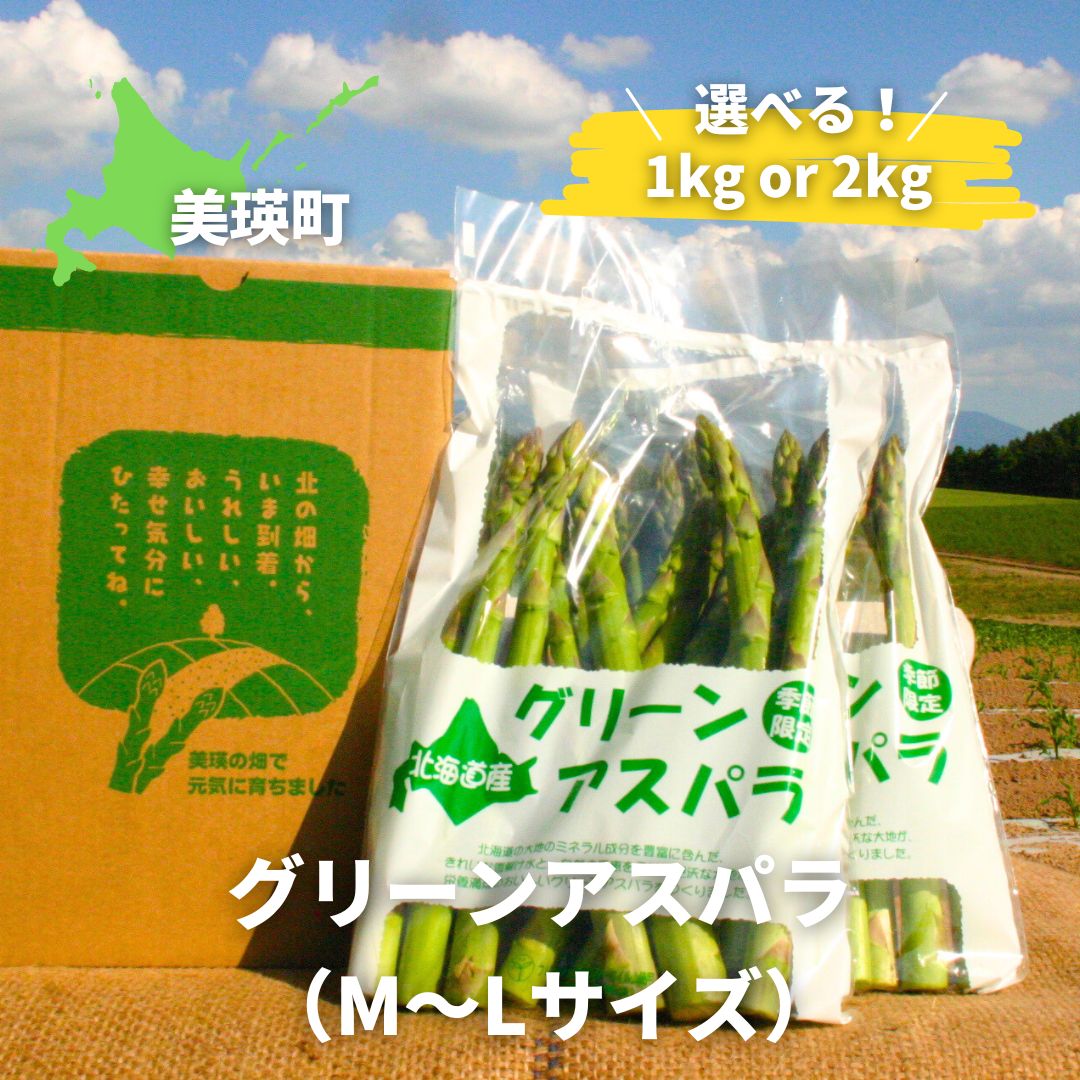 【先行予約】令和9年産【ふるさと納税】グリーンアスパラ M〜Lサイズ 1kg 2kg 黒木農場｜グリーン アスパラガス アスパラ あすぱら あすぱらがす 採れたて 新鮮 旬 産地直送 野菜 北海道 美瑛町 北海道産 美瑛産 美瑛 びえい