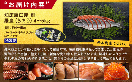 知床羅臼産 鮭 羅皇（らおう）4～5kg 生産者 支援 応援
